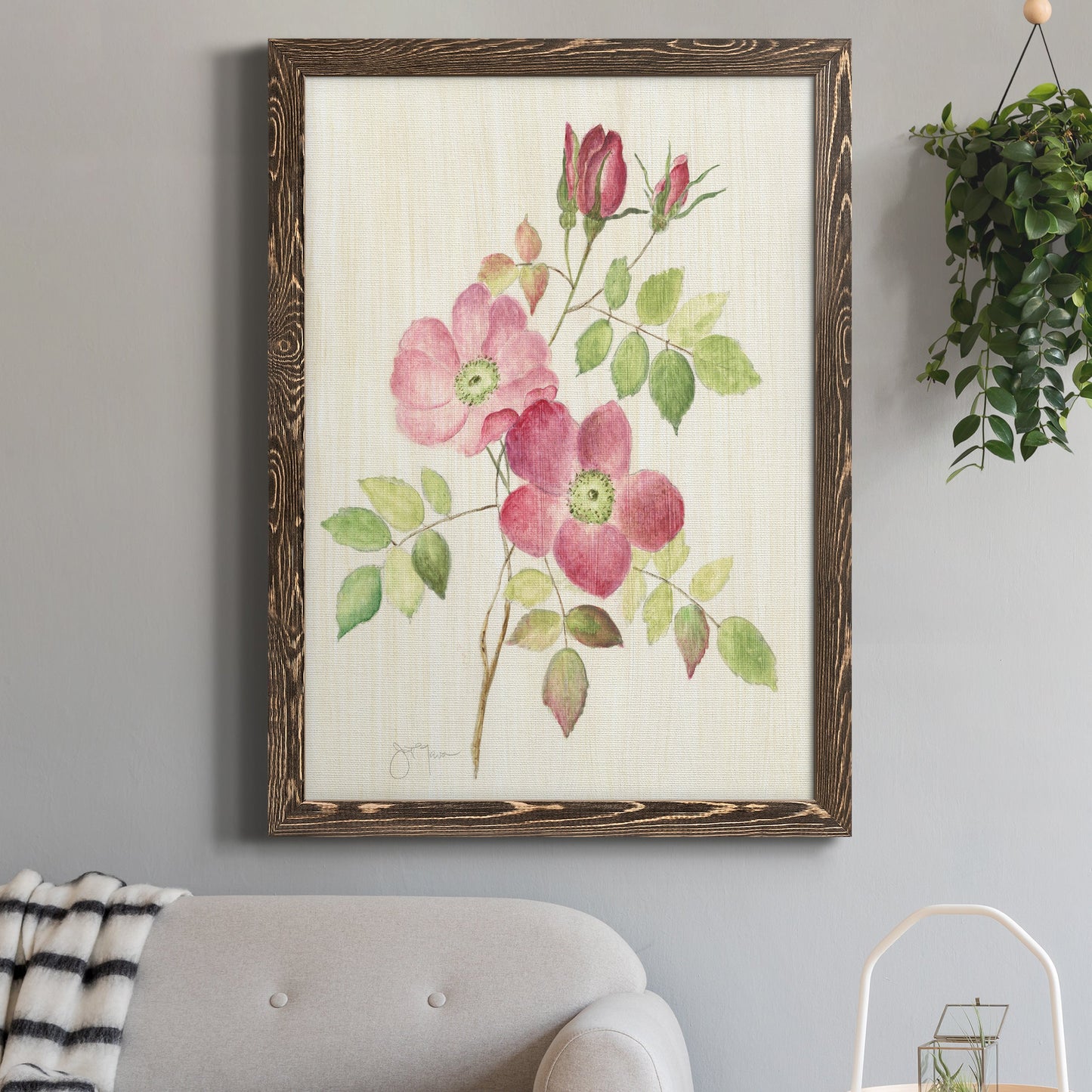Dusty Rose I - Barnwood Framed Canvas Print
