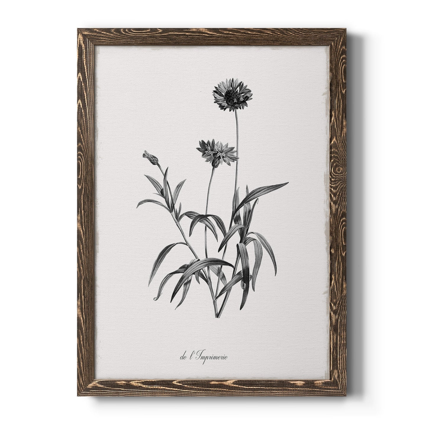 Simply Imperial - Barnwood Framed Canvas Print