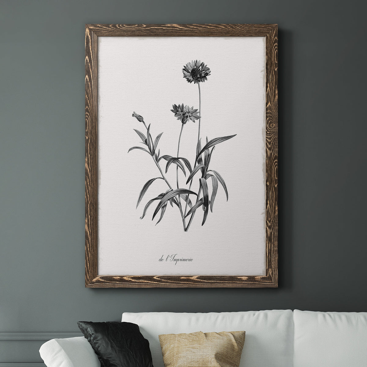 Simply Imperial - Barnwood Framed Canvas Print