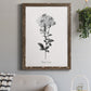 Simply Cape Leadwort - Barnwood Framed Canvas Print