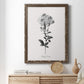 Simply Cape Leadwort - Barnwood Framed Canvas Print