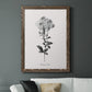 Simply Cape Leadwort - Barnwood Framed Canvas Print