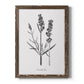 Simply Lavender - Barnwood Framed Canvas Print