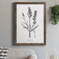 Simply Lavender - Barnwood Framed Canvas Print