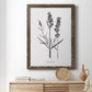 Simply Lavender - Barnwood Framed Canvas Print