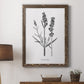 Simply Lavender - Barnwood Framed Canvas Print