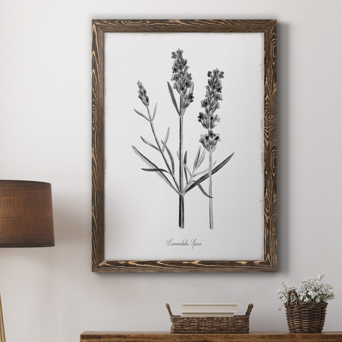 Simply Lavender - Barnwood Framed Canvas Print