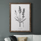 Simply Lavender - Barnwood Framed Canvas Print