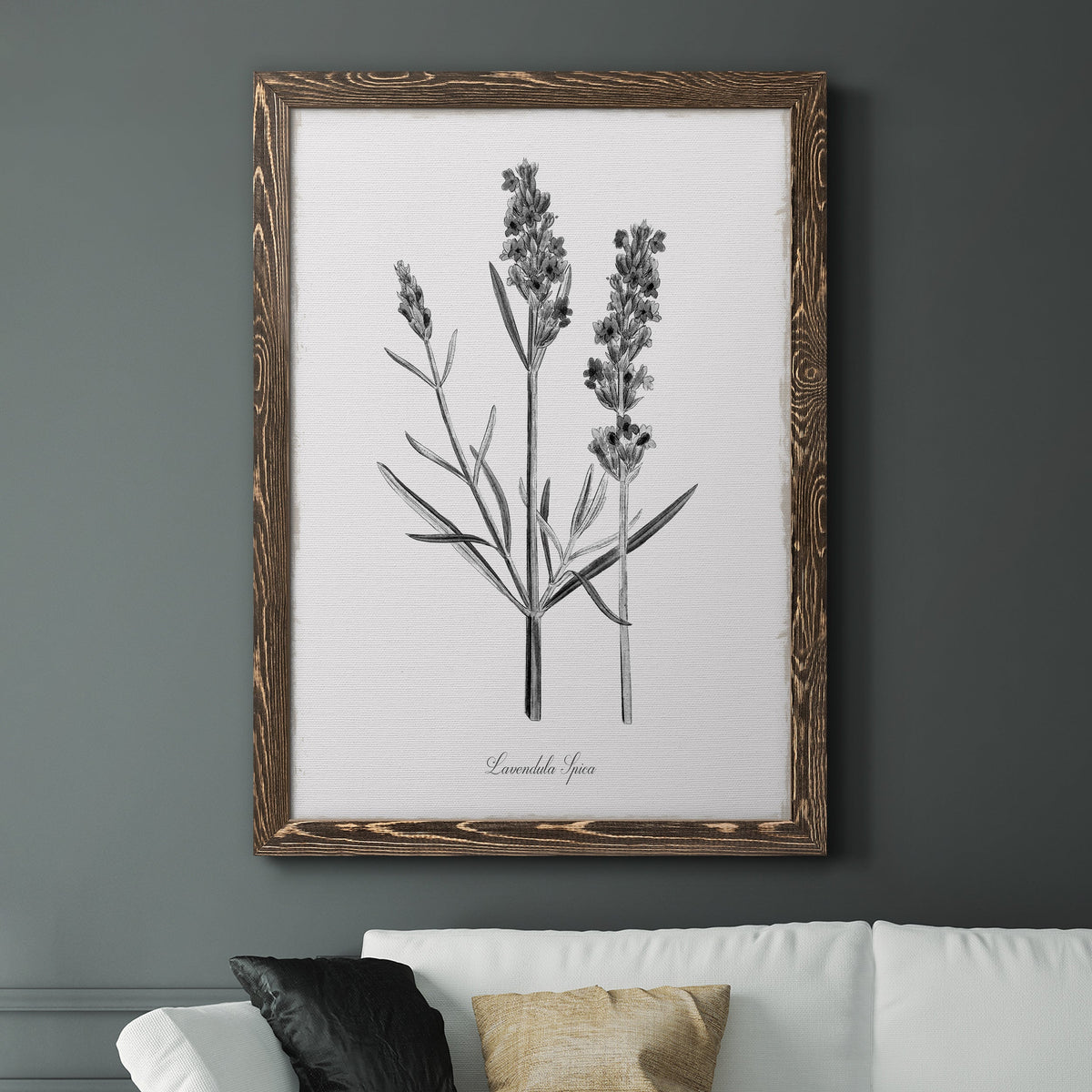 Simply Lavender - Barnwood Framed Canvas Print
