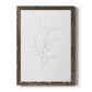 Botanical Gesture VI - Barnwood Framed Canvas Print