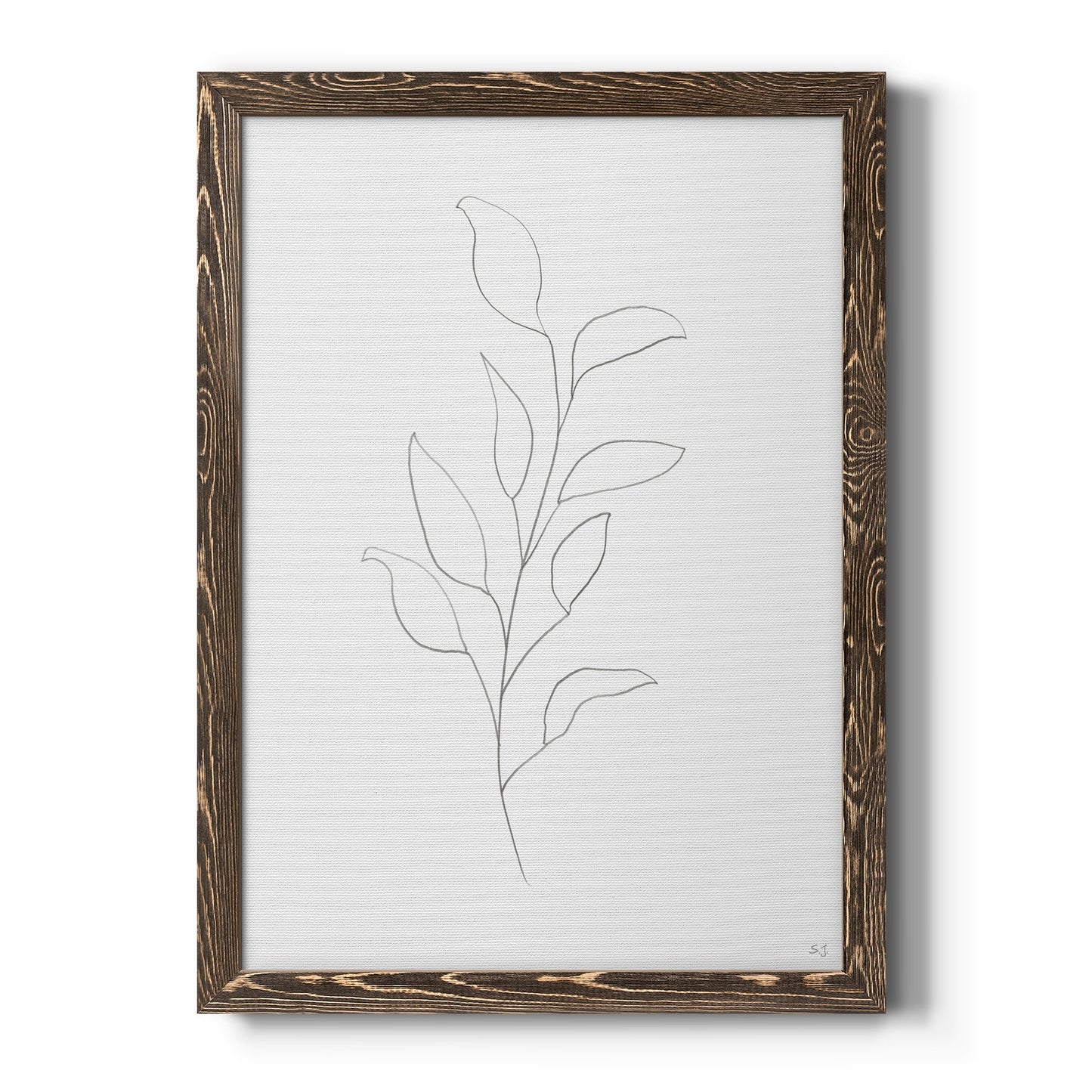 Botanical Gesture VI - Barnwood Framed Canvas Print