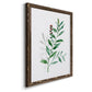Freshly Picked III - Barnwood Framed Canvas Print