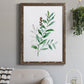 Freshly Picked III - Barnwood Framed Canvas Print