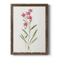 Delicate Pink II - Barnwood Framed Canvas Print