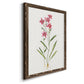 Delicate Pink II - Barnwood Framed Canvas Print