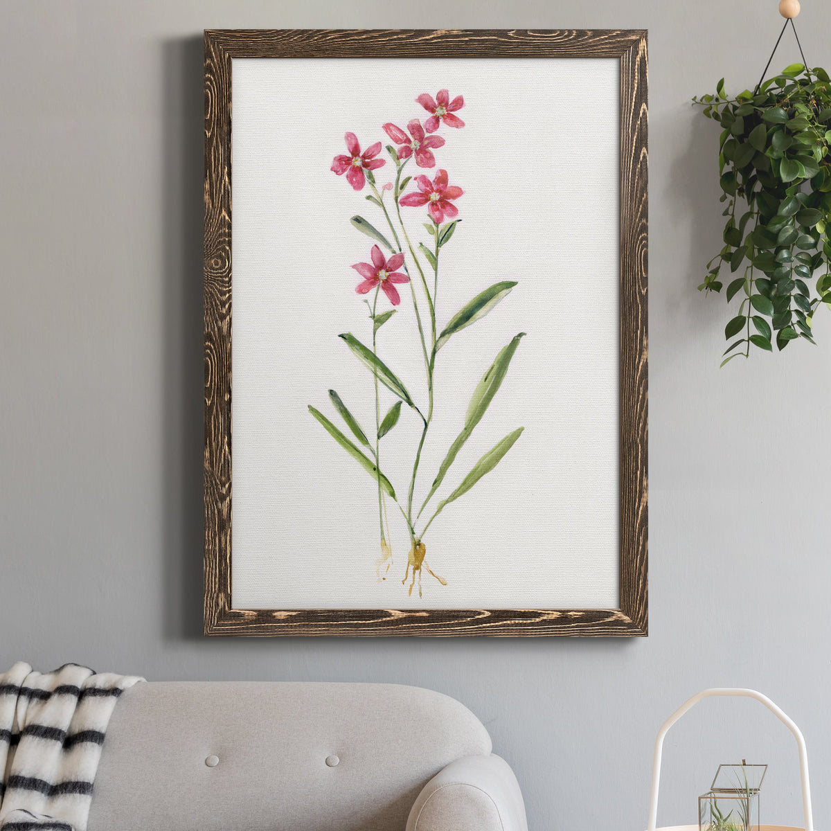 Delicate Pink II - Barnwood Framed Canvas Print