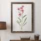 Delicate Pink II - Barnwood Framed Canvas Print