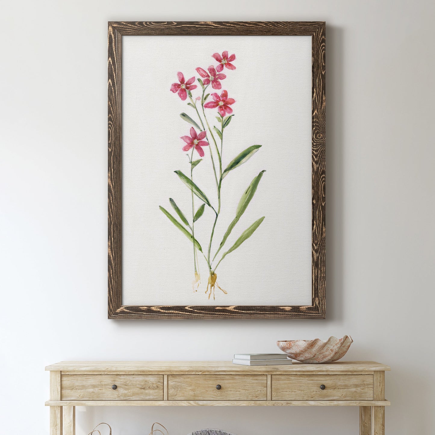 Delicate Pink II - Barnwood Framed Canvas Print