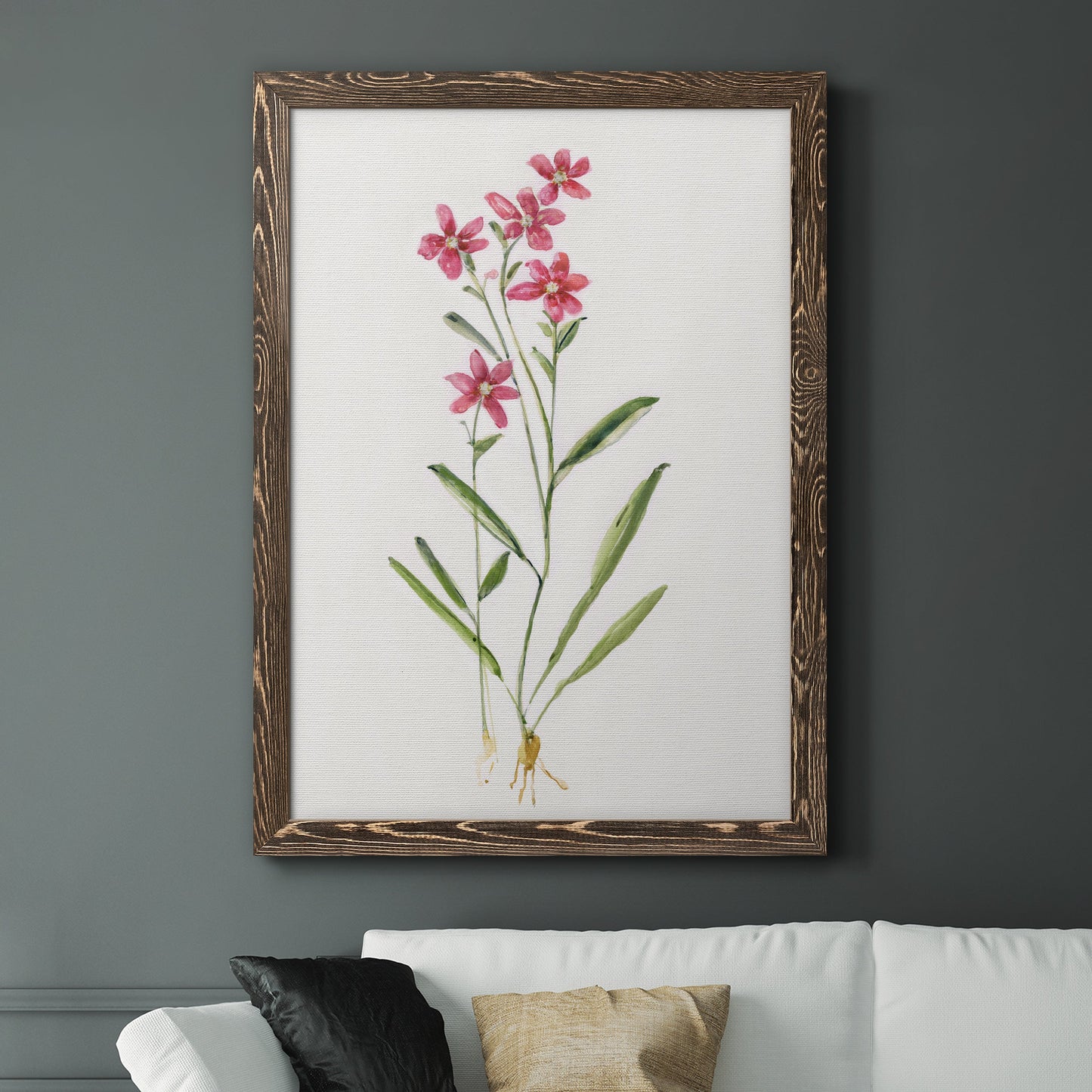 Delicate Pink II - Barnwood Framed Canvas Print