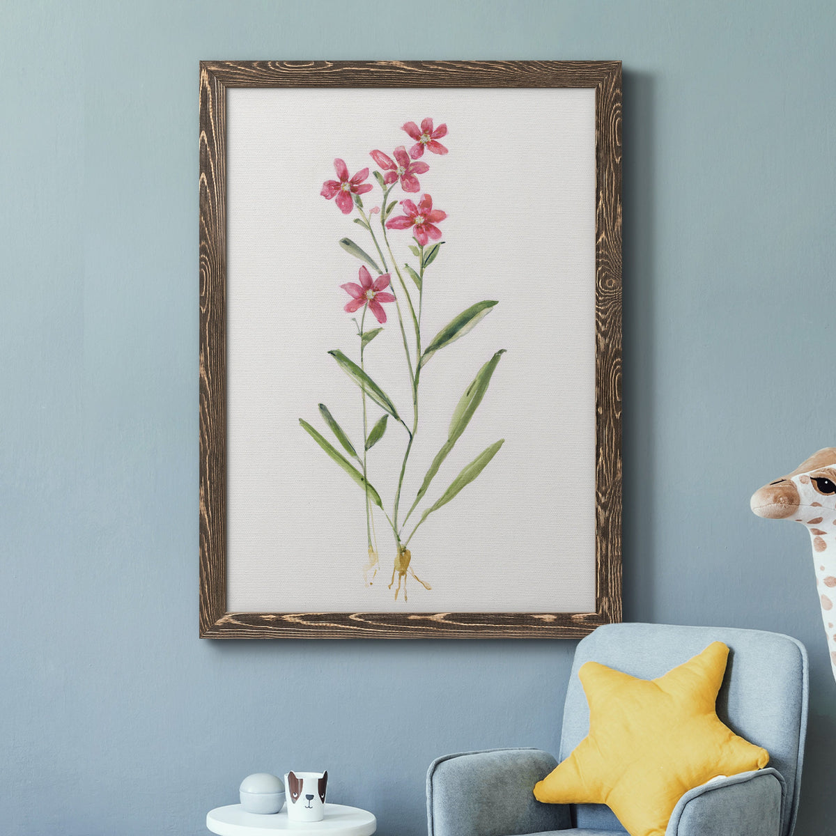 Delicate Pink II - Barnwood Framed Canvas Print