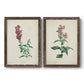 Set of two walnut barnwood framed canvas prints featuring two vintage botanical studies of flowering stems with detailed green leaves on aged cream paper.