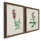 Angled view of a set of two walnut barnwood framed canvas prints featuring two vintage botanical studies of flowering stems with detailed green leaves on aged cream paper.