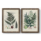 Set of two walnut barnwood framed canvas prints featuring two natural-history fern plates featuring vintage fern specimens with botanical details.