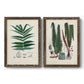 Set of two walnut barnwood framed canvas prints featuring two natural-history fern plates featuring vintage fern specimens with botanical details.