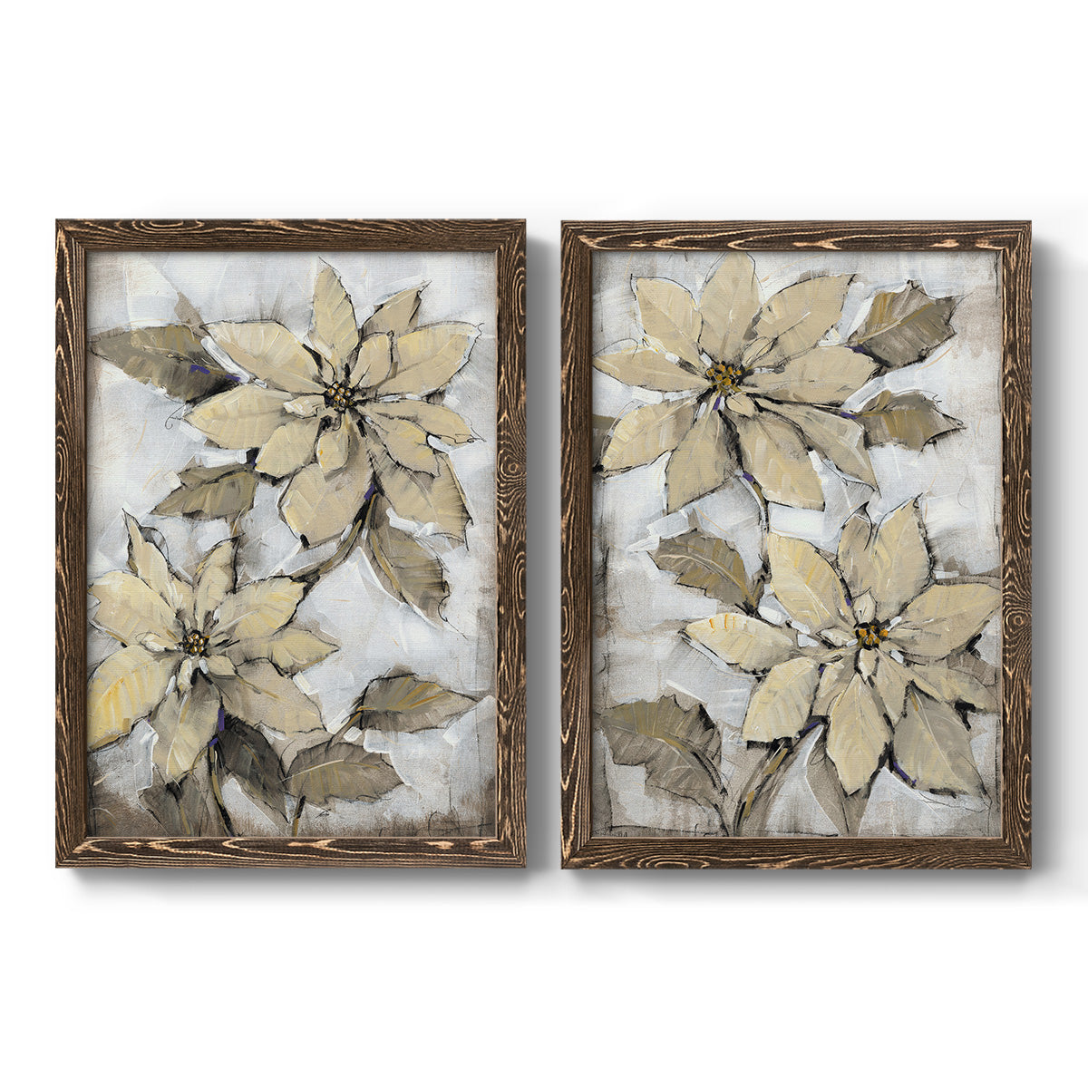 Poinsettia Study I - Barnwood Framed Canvas Set