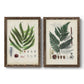 Set of two walnut barnwood framed canvas prints featuring two natural-history fern plates featuring vintage fern specimens with botanical details.