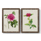 Set of two walnut barnwood framed canvas prints featuring two vintage botanical plate illustrations featuring pink flowering plant specimens.