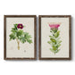 Set of two walnut barnwood framed canvas prints featuring two vintage botanical plate illustrations featuring pink flowering plant specimens.