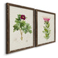 Angled view of a set of two walnut barnwood framed canvas prints featuring two vintage botanical plate illustrations featuring pink flowering plant specimens.