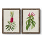 Set of two walnut barnwood framed canvas prints featuring two vintage botanical plate illustrations featuring pink flowering plant specimens.