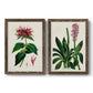 Set of two walnut barnwood framed canvas prints featuring two antique botanical plate illustrations featuring colorful flowering plant specimens.