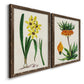 Angled view of a set of two walnut barnwood framed canvas prints featuring two antique botanical plate illustrations featuring colorful flowering plant specimens.