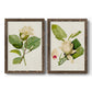 Set of two walnut barnwood framed canvas prints featuring two traditional botanical paintings featuring white magnolia blossoms and glossy green leaves.