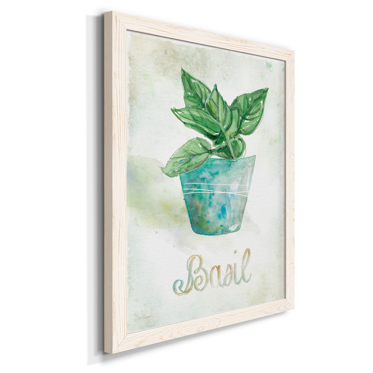 Potted Basil - Barnwood Framed Canvas Print