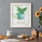 Potted Basil - Barnwood Framed Canvas Print