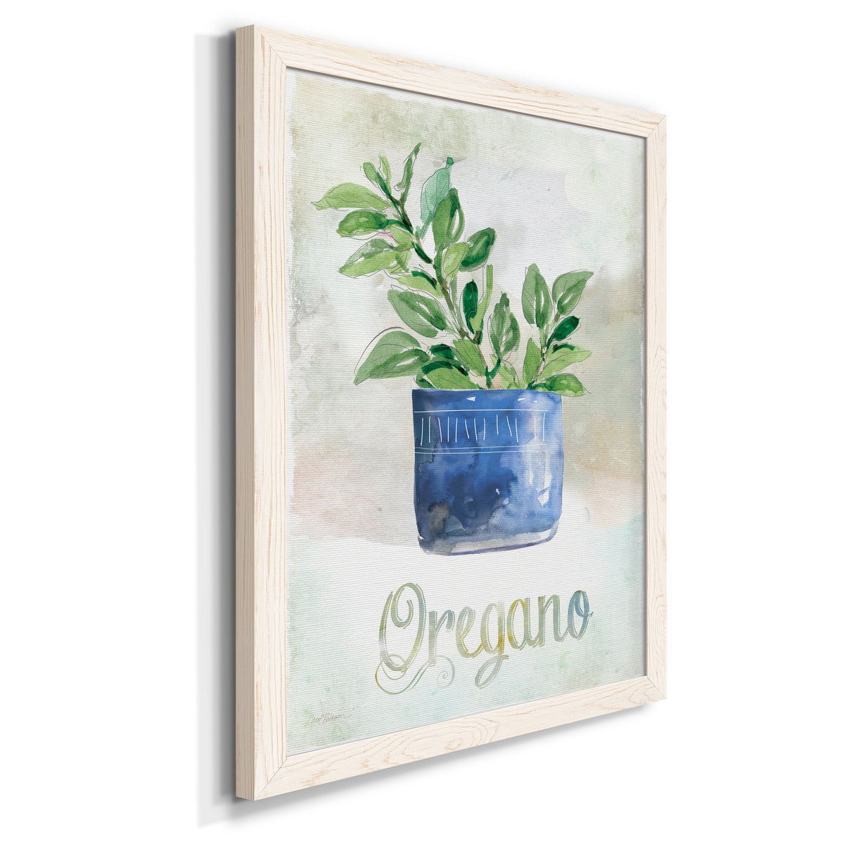 Potted Oregano - Barnwood Framed Canvas Print