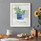 Potted Oregano - Barnwood Framed Canvas Print