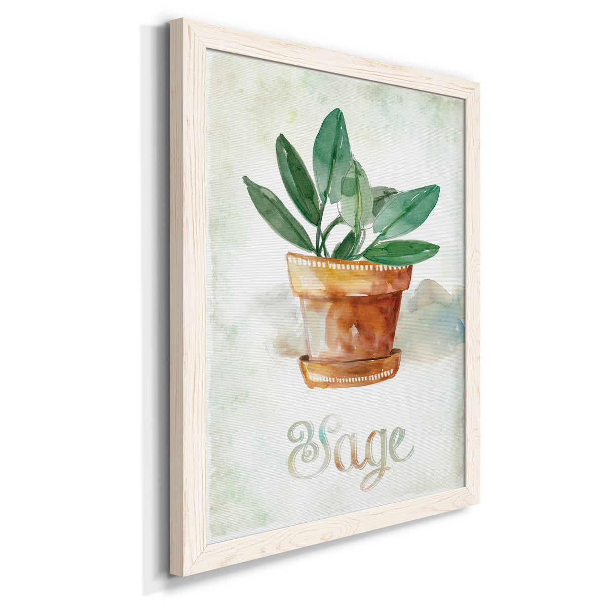 Potted Sage - Barnwood Framed Canvas Print