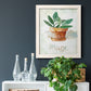 Potted Sage - Barnwood Framed Canvas Print