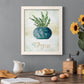 Potted Thyme - Barnwood Framed Canvas Print