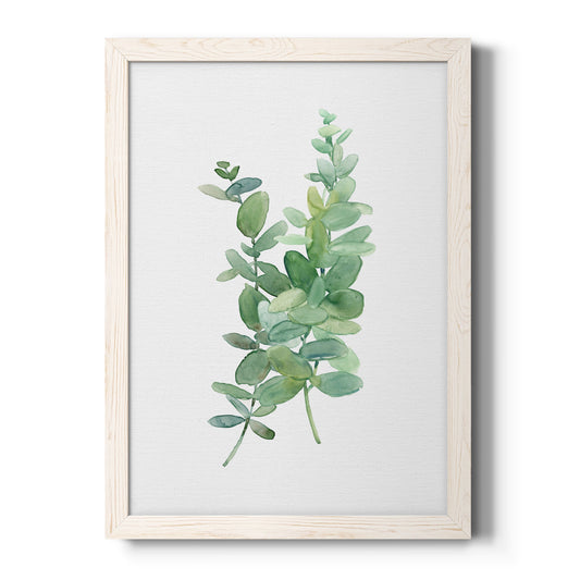 Eucalyptus I - Barnwood Framed Canvas Print