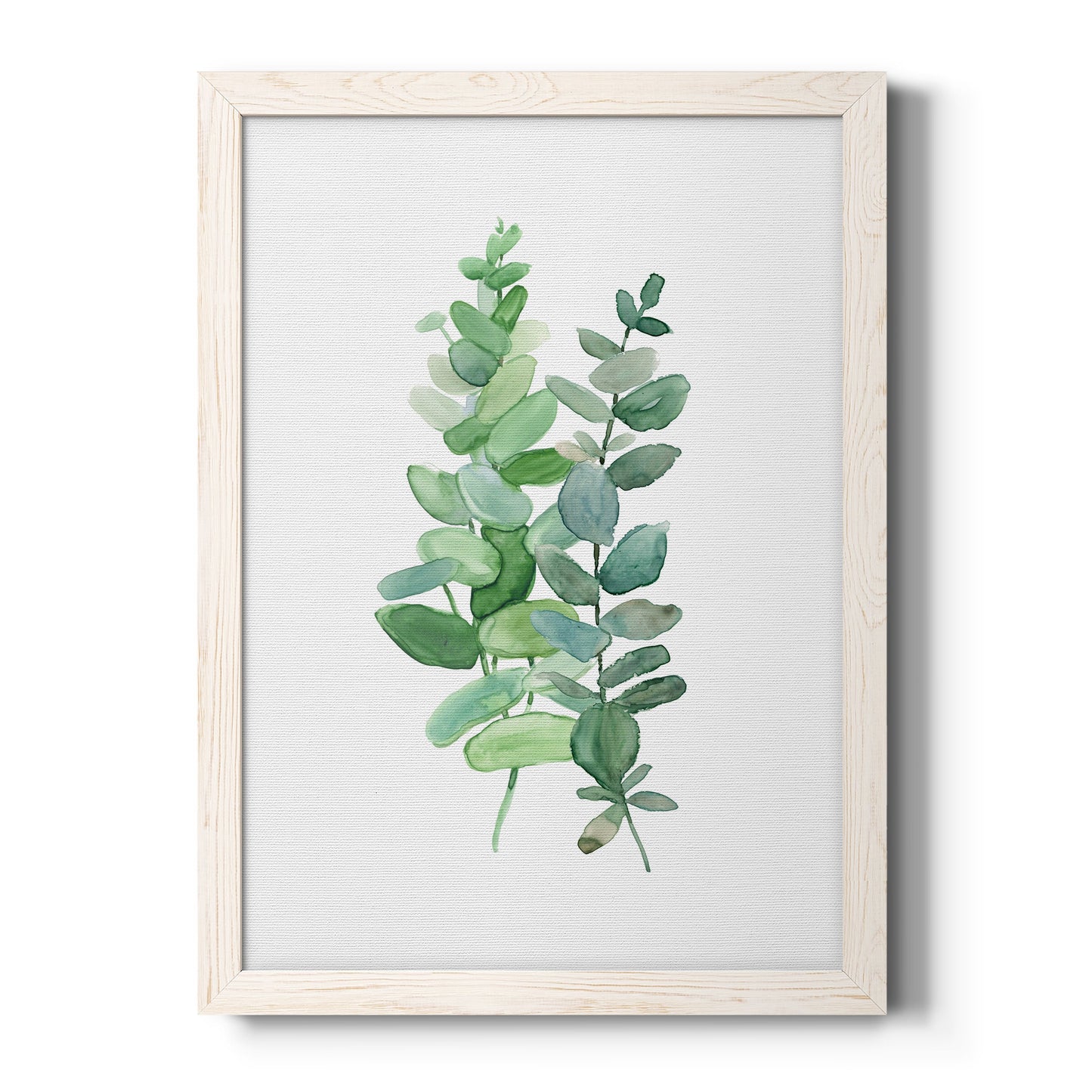 Eucalyptus II - Barnwood Framed Canvas Print