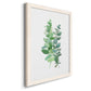 Eucalyptus II - Barnwood Framed Canvas Print