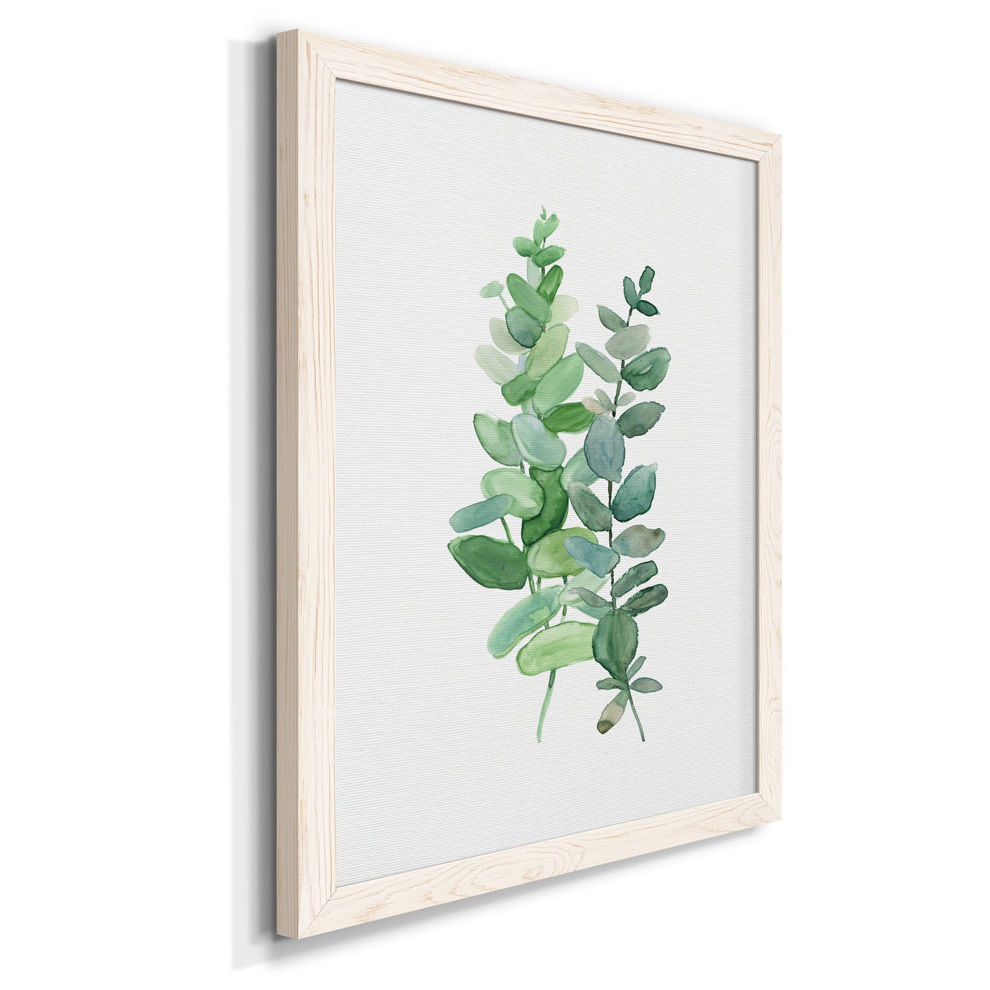 Eucalyptus II - Barnwood Framed Canvas Print