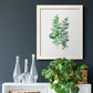 Eucalyptus II - Barnwood Framed Canvas Print