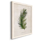 Palm Botanical II - Barnwood Framed Canvas Print